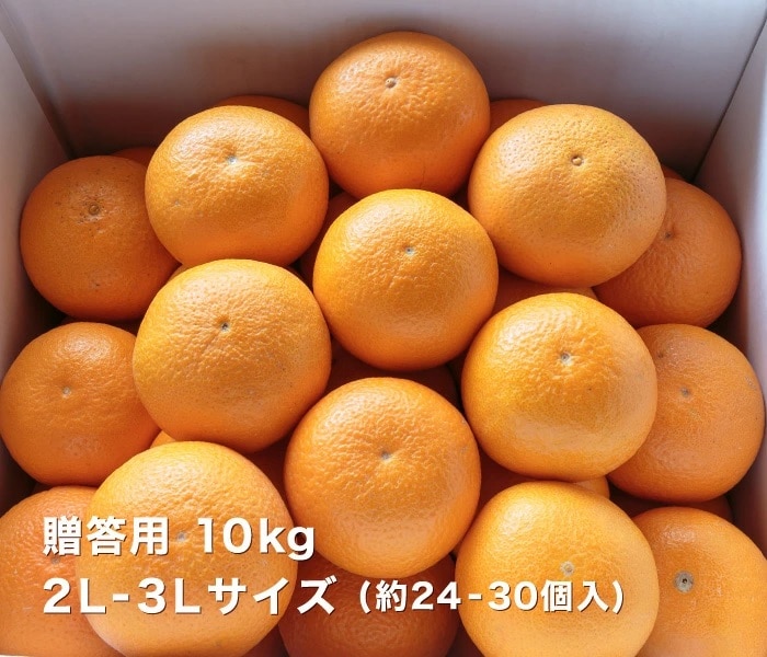 贈答用10kgイメージ