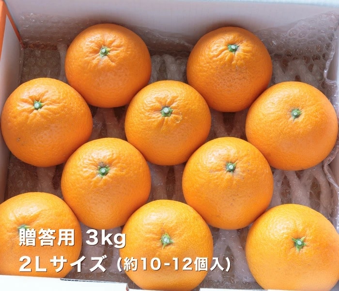 贈答用3kgイメージ