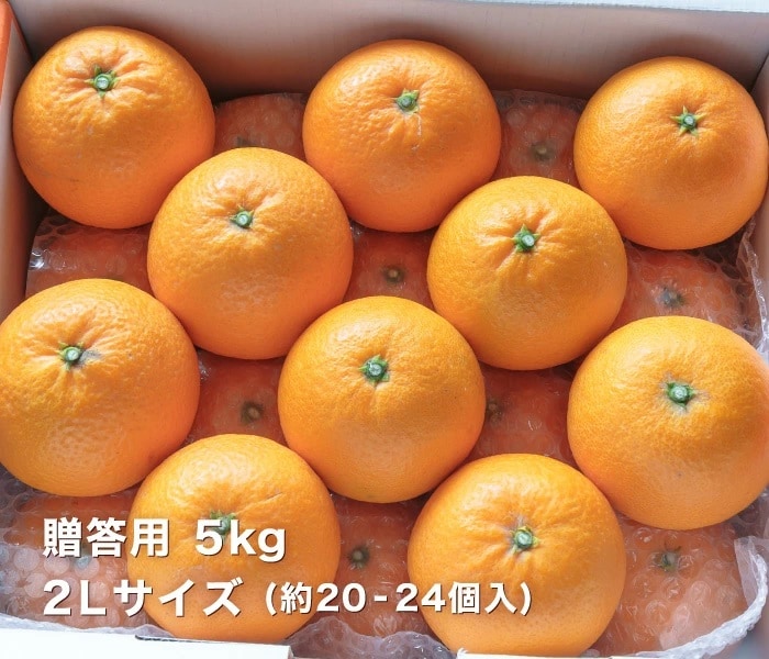 贈答用5kgイメージ