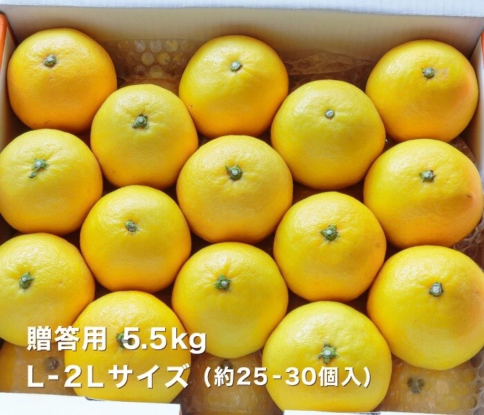 贈答5.5kgイメージ