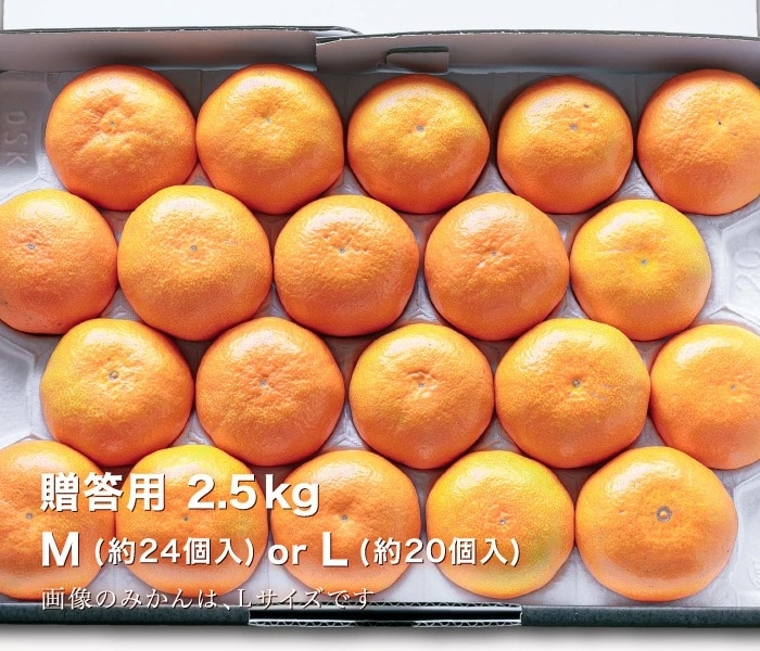 贈答用みかん2.5kg