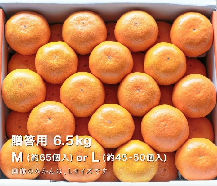 贈答用みかん4kg