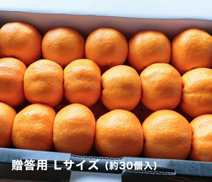 贈答用イメージ