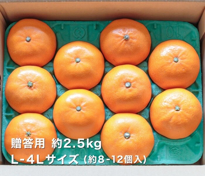 贈答2.5kgイメージ