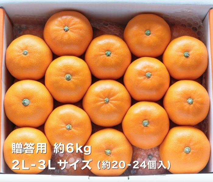 贈答6kgイメージ