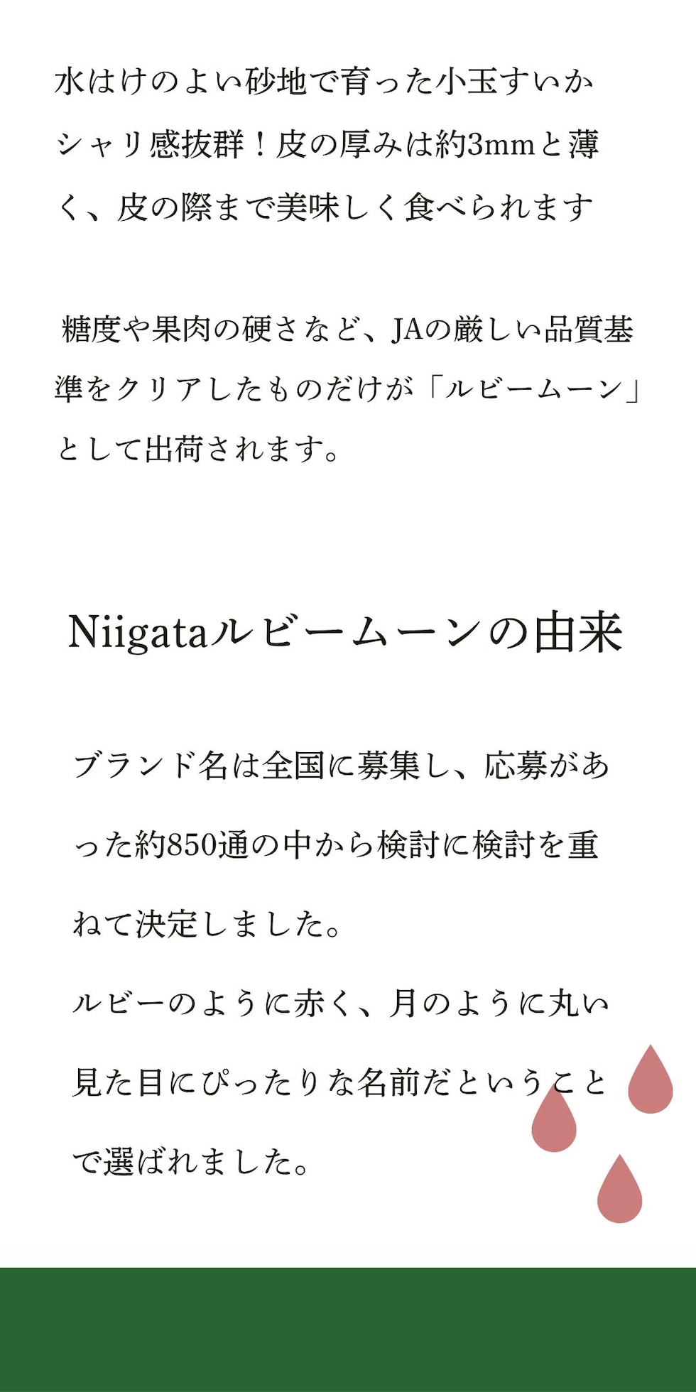 Niigataルビームーンについて