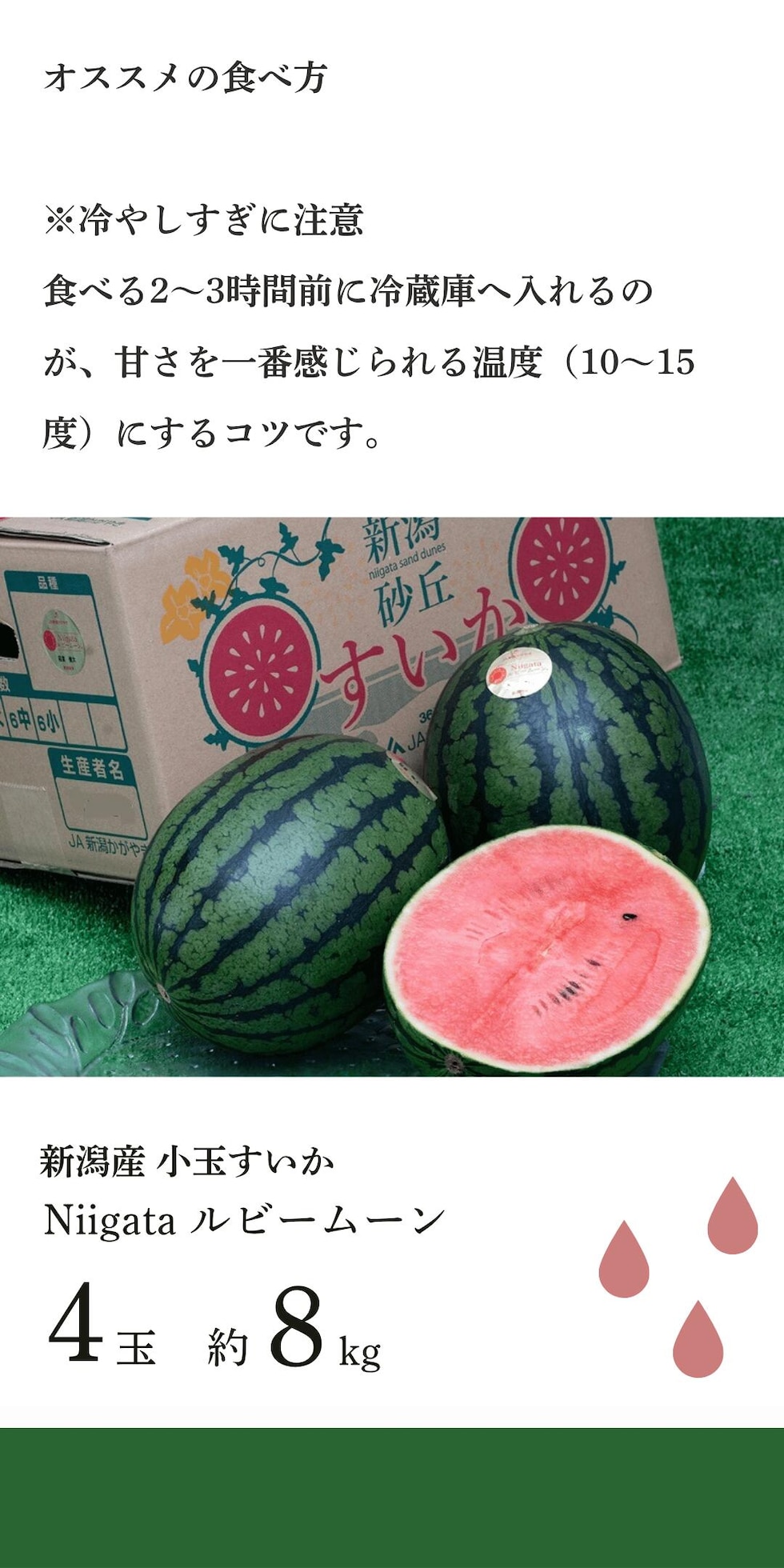 新潟の砂丘すいか