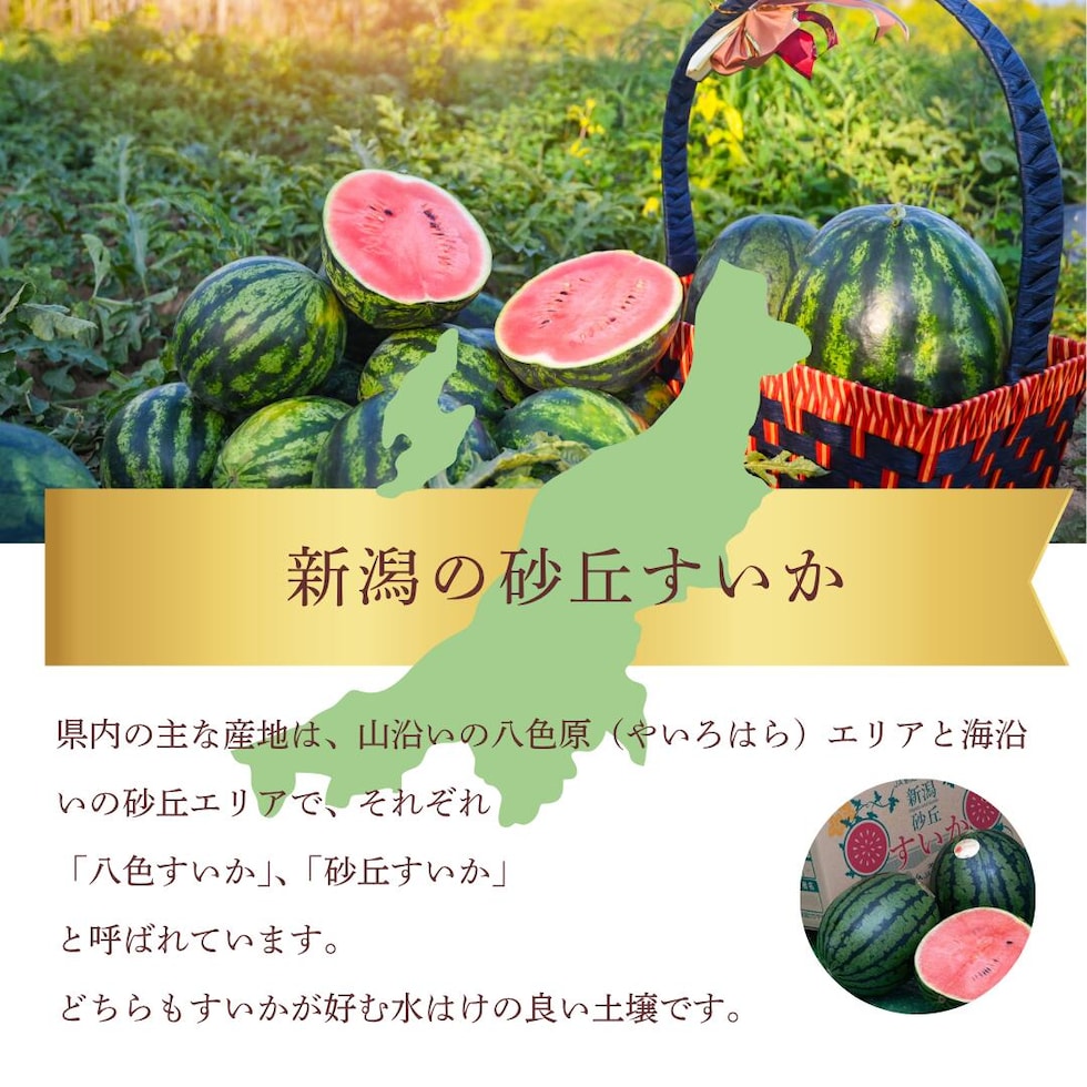 梱包イメージ
