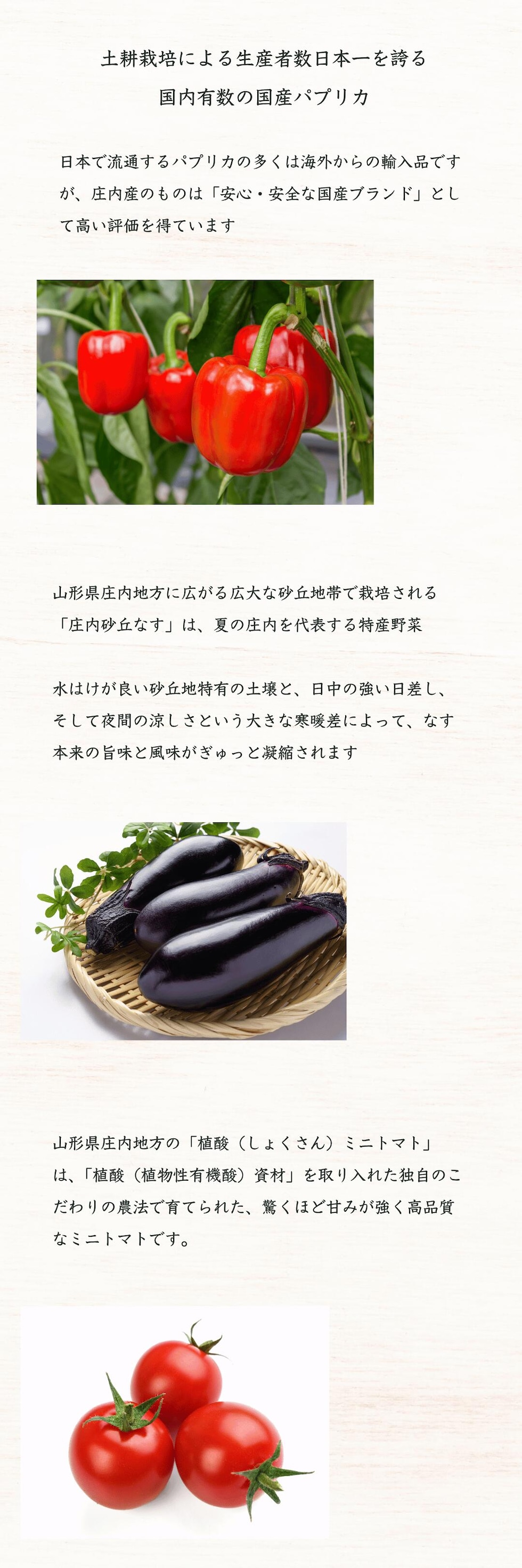 野菜一例
