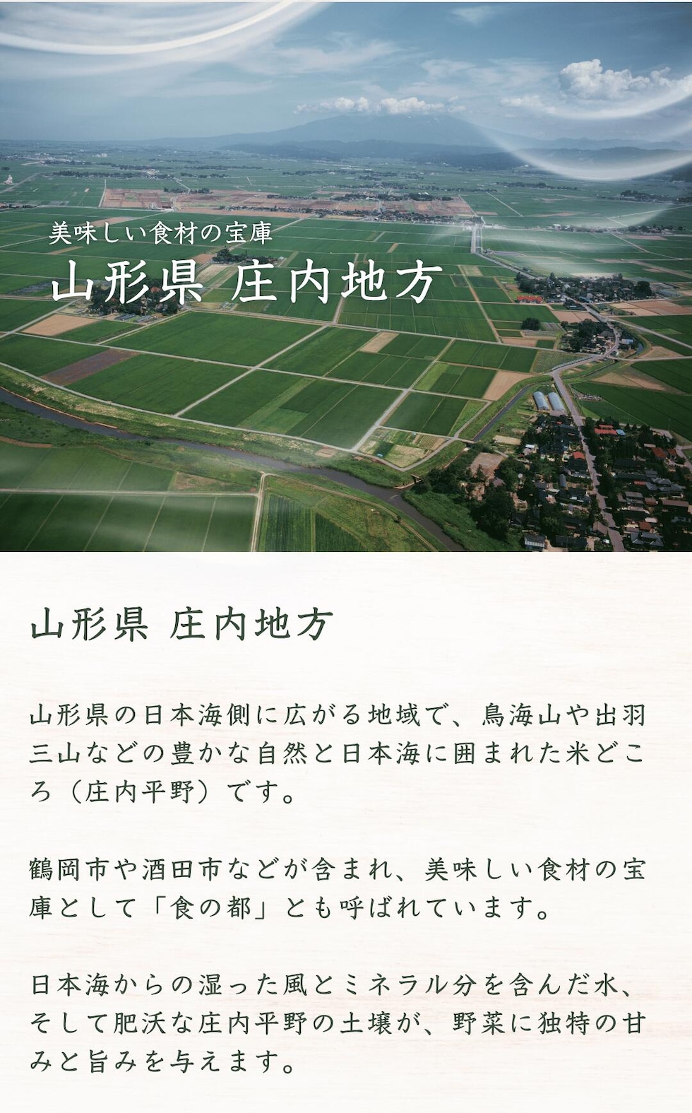 産地・山形県庄内地方