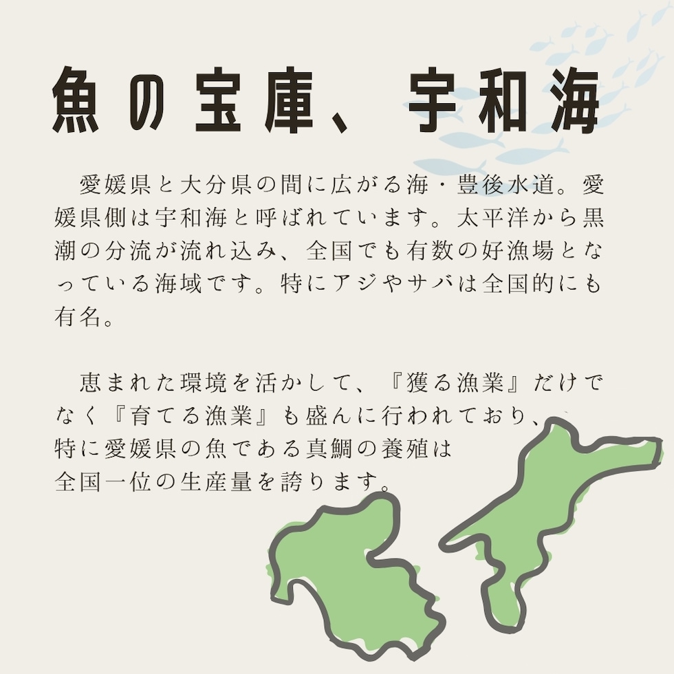 魚の宝庫、宇和海