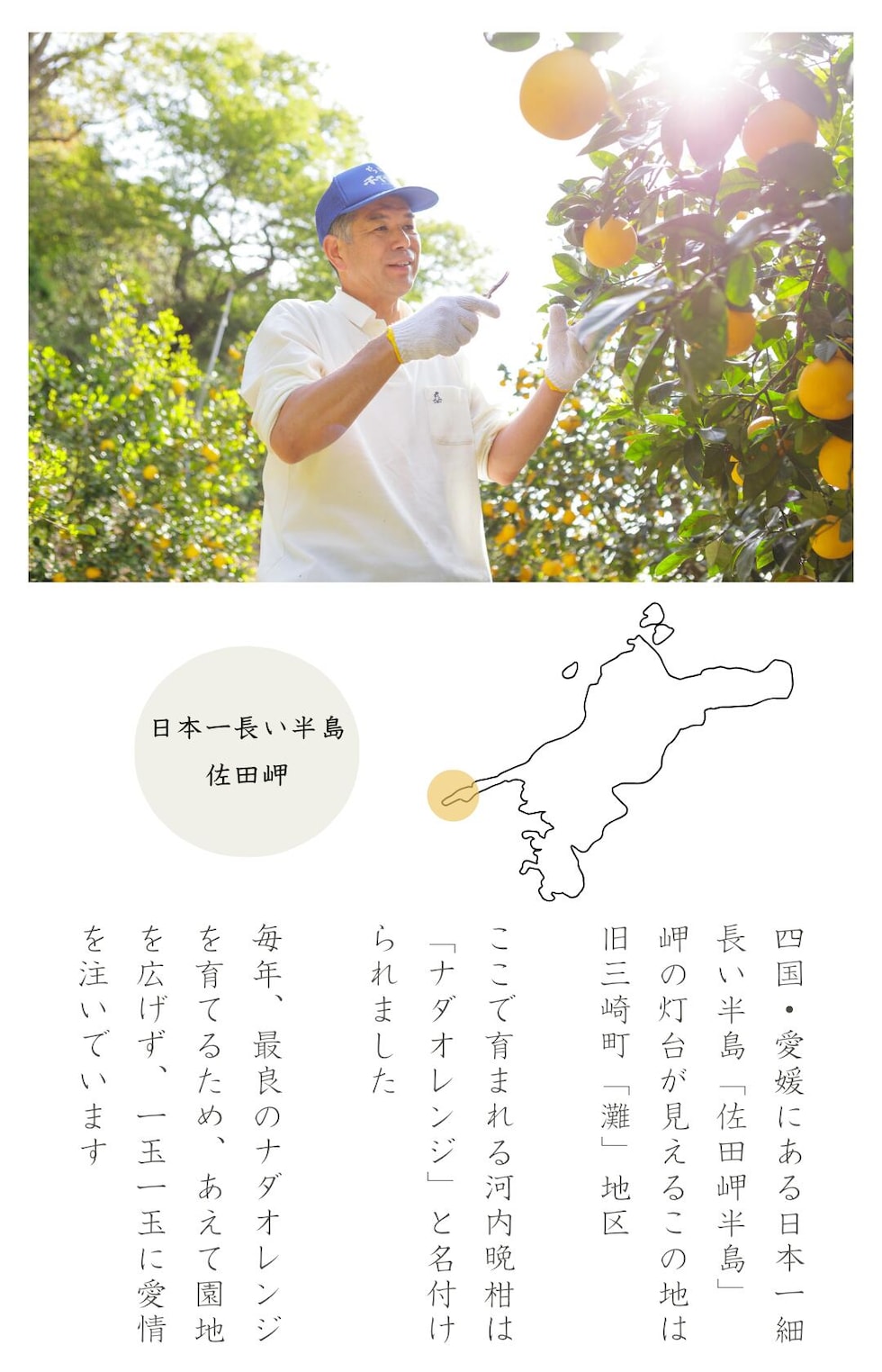 大岩2