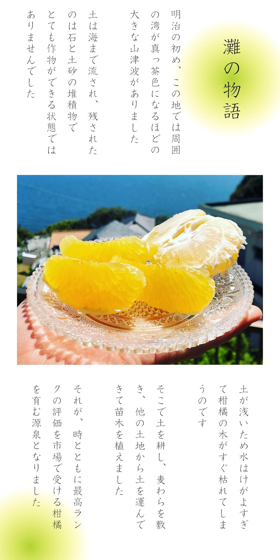 大岩3