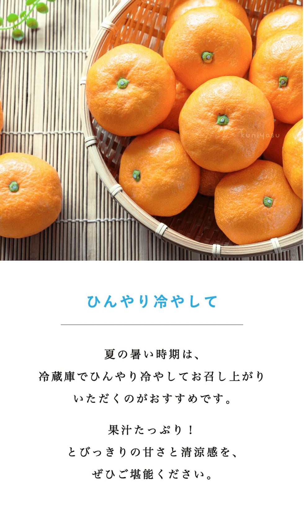 召し上がり方