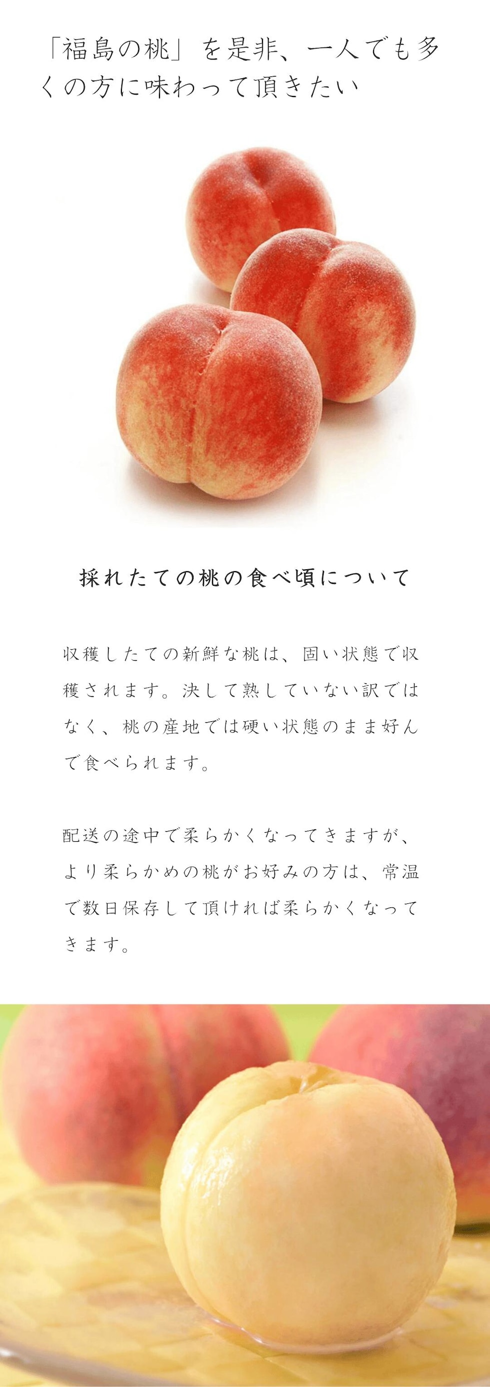JAふくしま未来