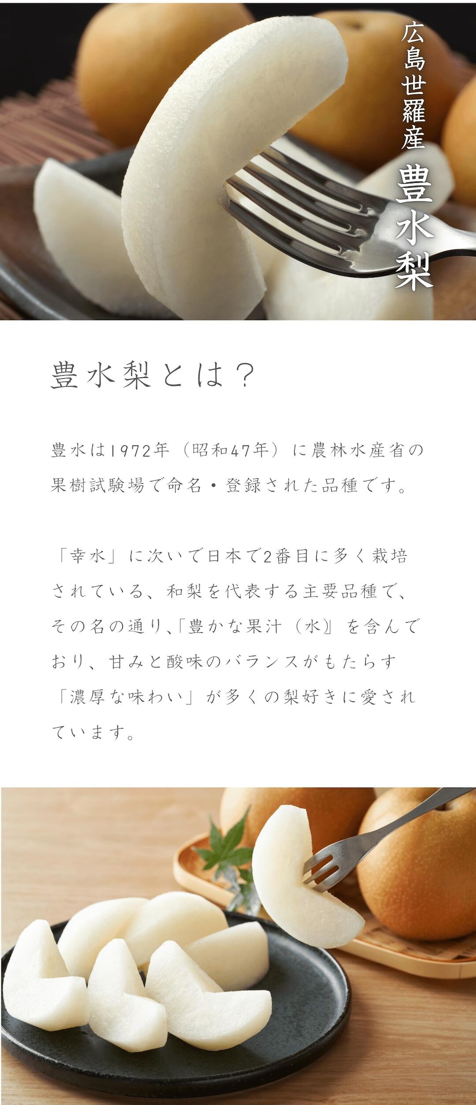 広島世羅産豊水梨