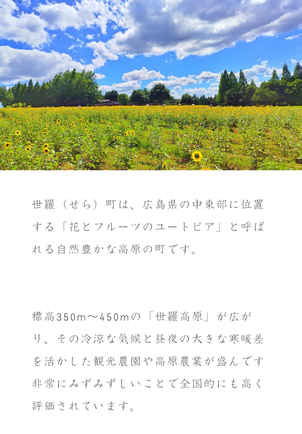 産地・世羅町について