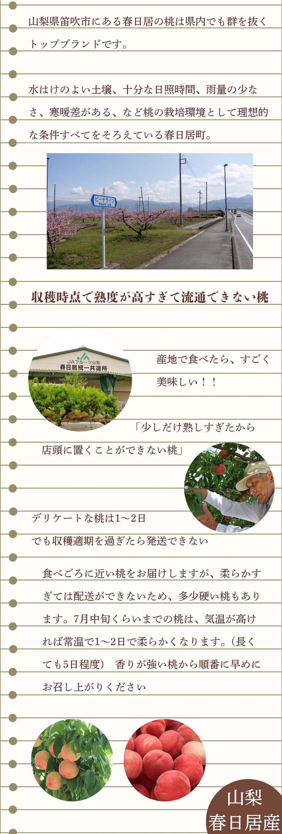 春日居の桃について