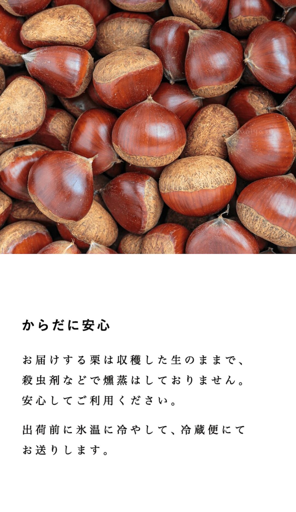 からだに安心