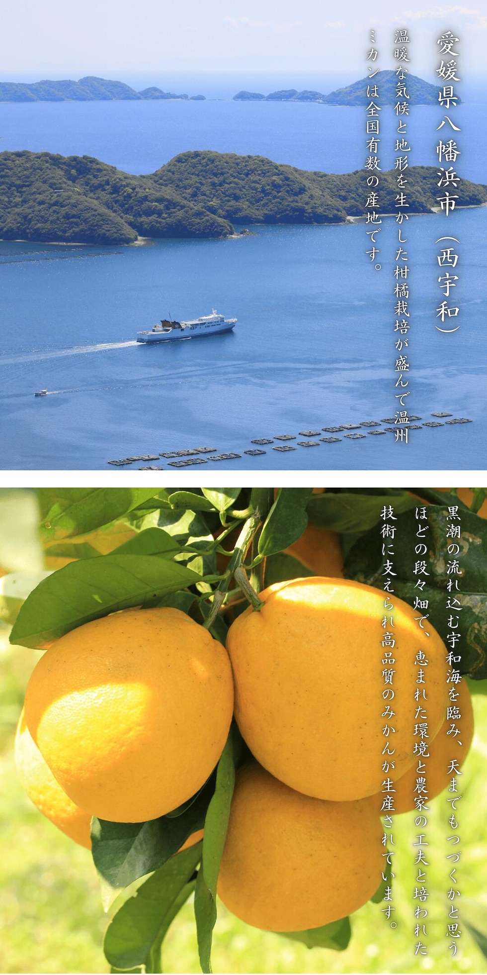 八幡浜