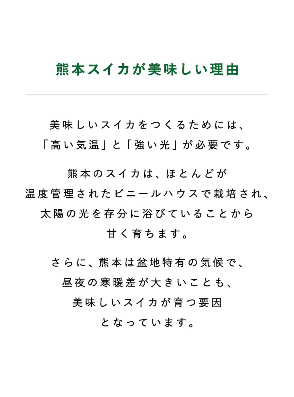 美味しいスイカ