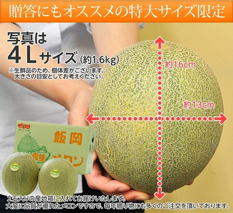 特大サイズで贈答用にもおすすめ