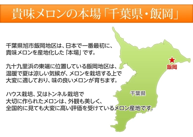 貴味メロンの本場・千葉県飯岡産