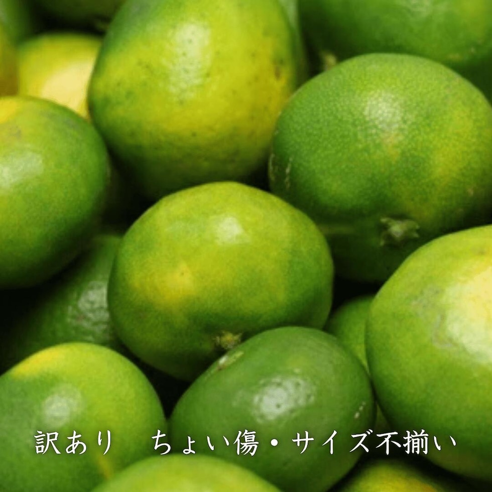 訳ありイメージ