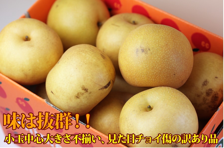 豊水梨イメージ