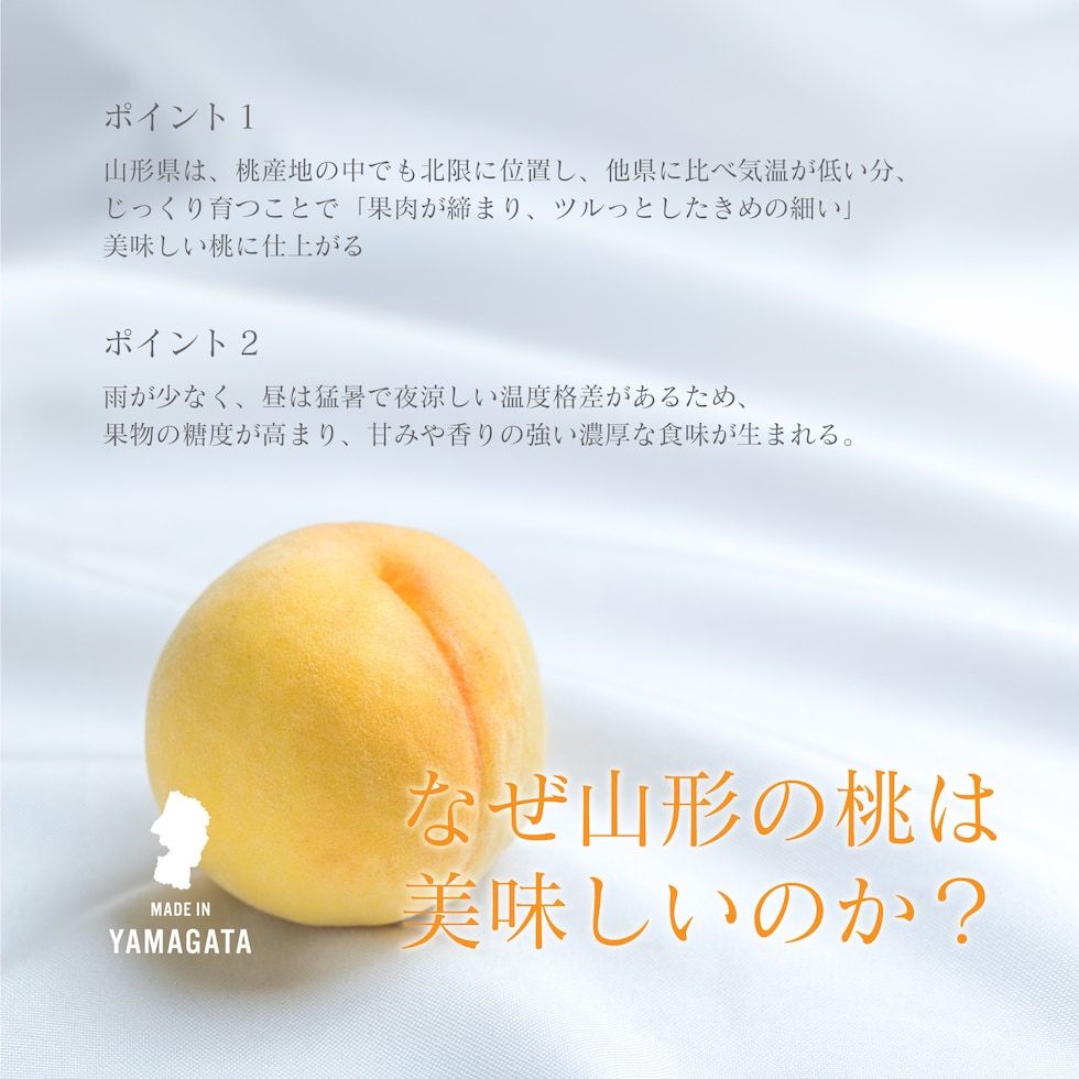 山形の黄桃は