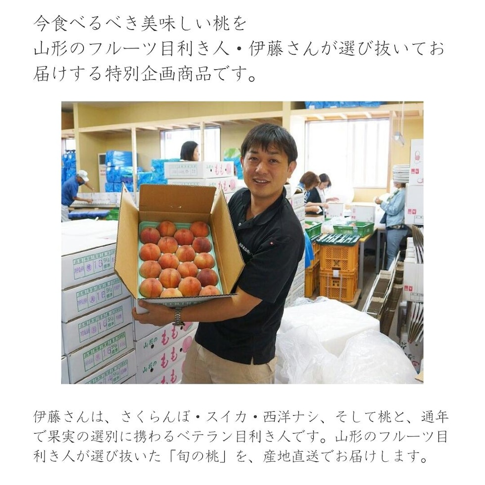 ベテランの目利き人が選ぶ旬の桃