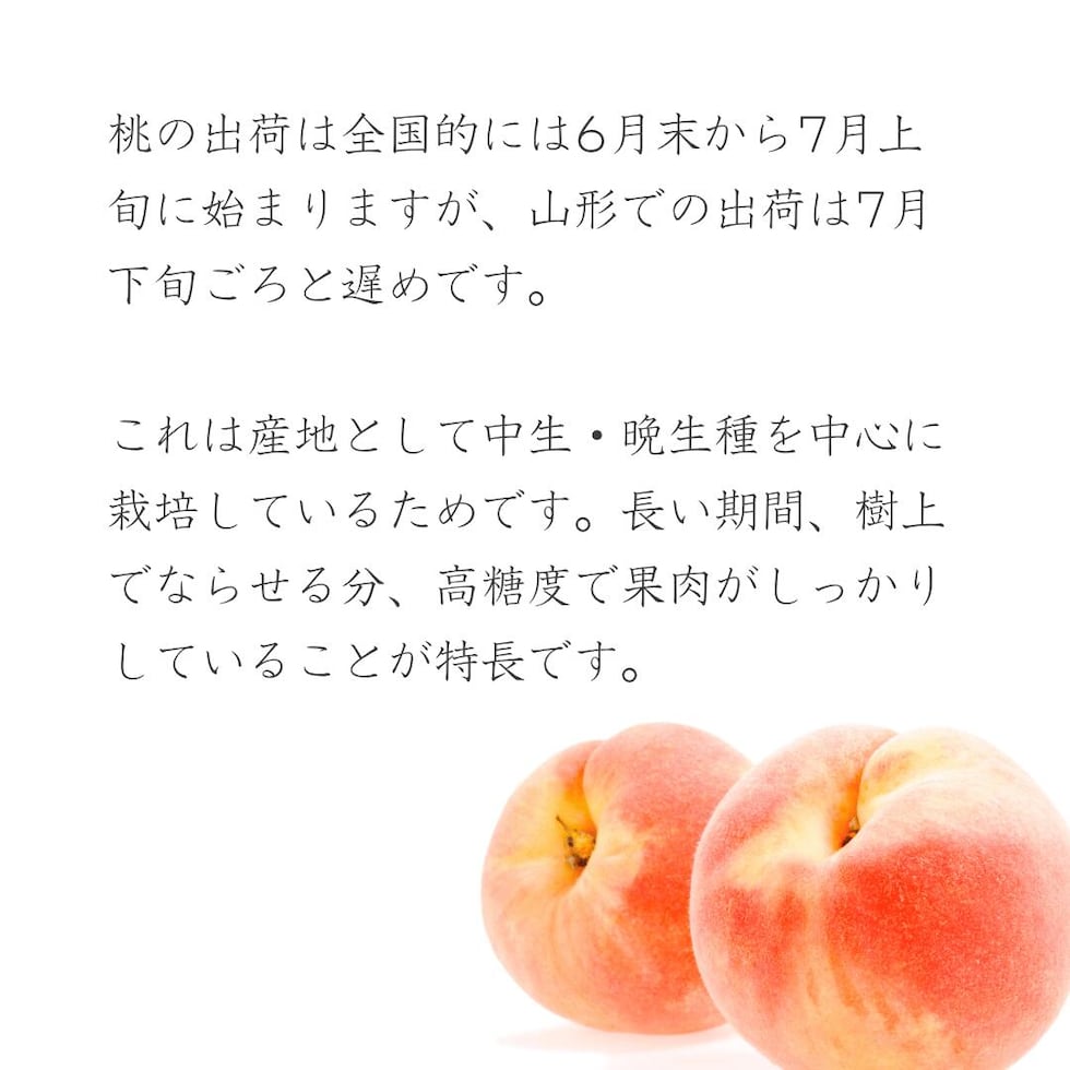 山形の桃について