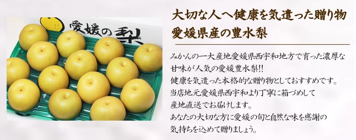 贈答用豊水梨