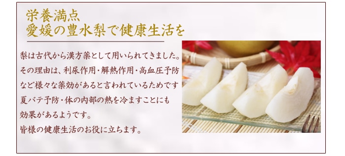 栄養満点