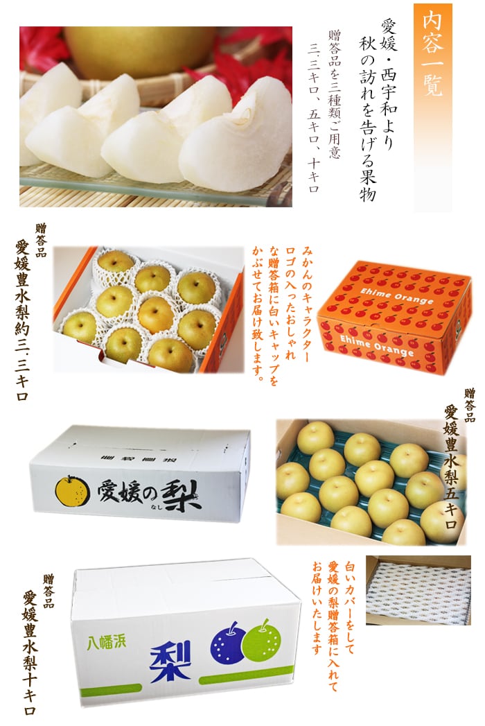 梱包イメージ