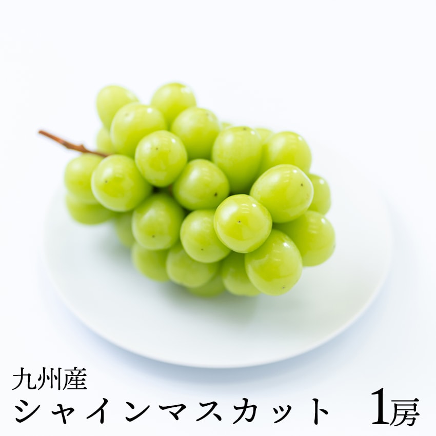 AAAA