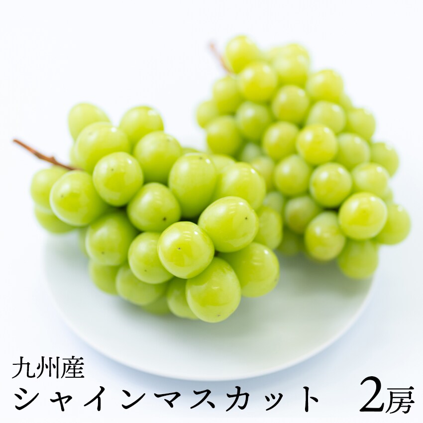 AAAA