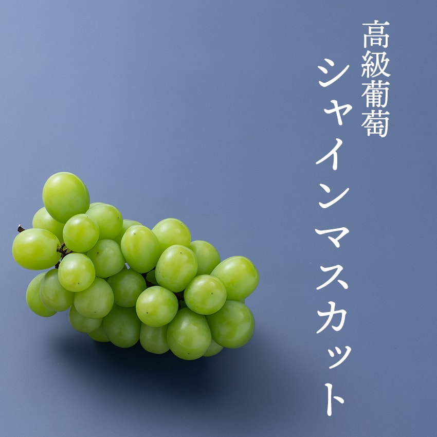 AAAA