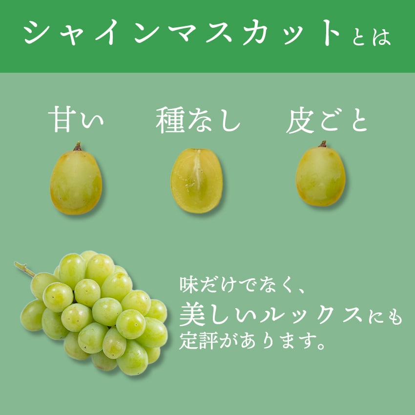 AAAA