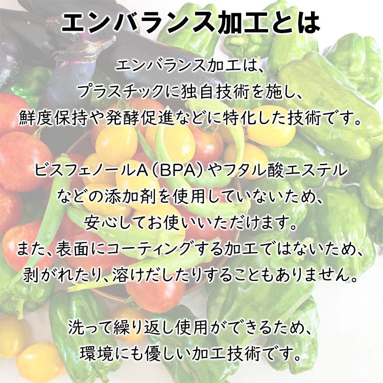 エンバランス フードコンテナ 3.5L
