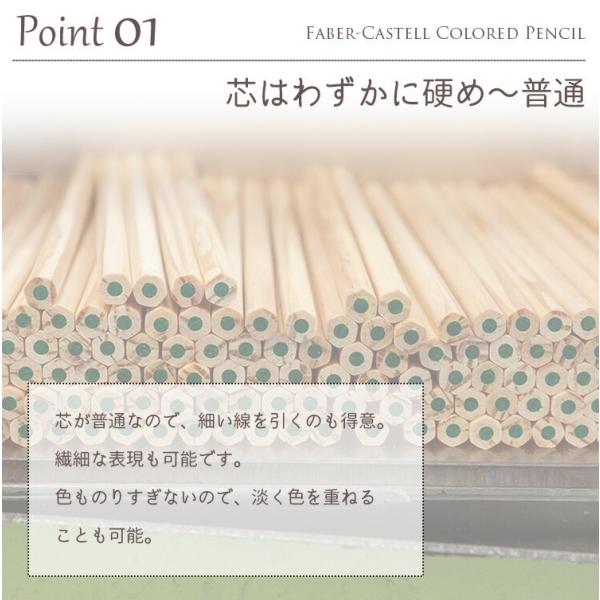 ファーバーカステル ポリクロモス色鉛筆セット 120色木箱 (110013)