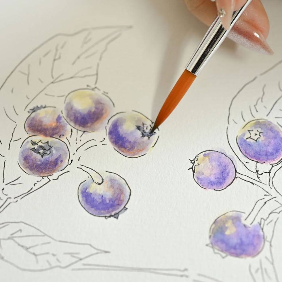 ファーバーカステル アルブレヒト･デューラー&PITTアーティストペン Sセット (217552)