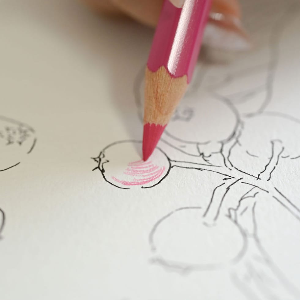 ファーバーカステル アルブレヒト･デューラー&PITTアーティストペン Sセット (217552)