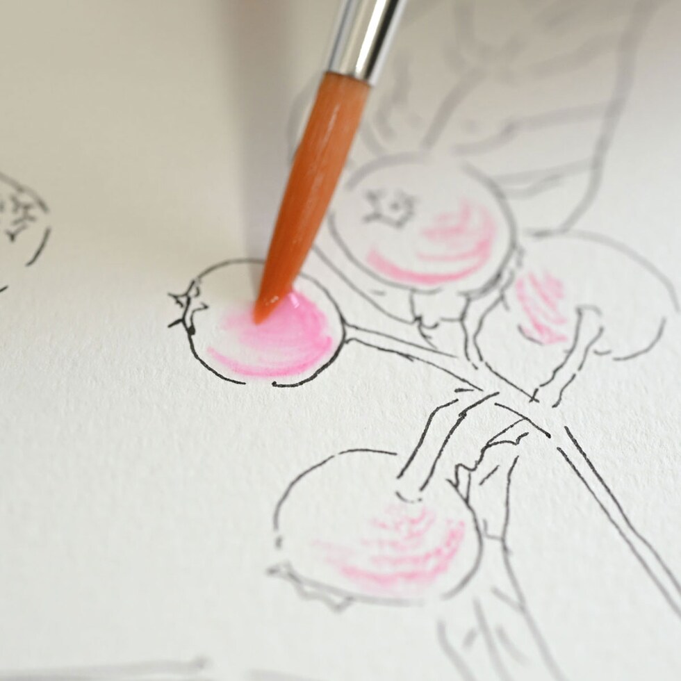 ファーバーカステル アルブレヒト・デューラー&PITTアーティストペン Mセット (217553)