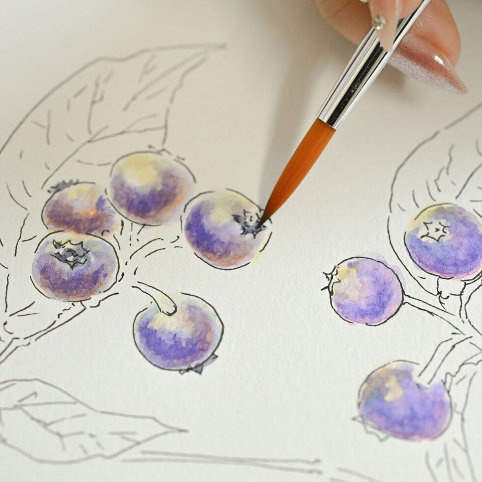 ファーバーカステル アルブレヒト・デューラー&PITTアーティストペン Mセット (217553)