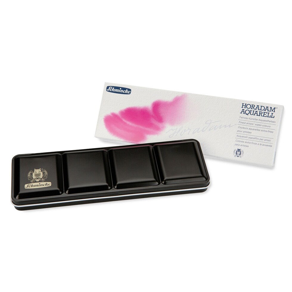 シュミンケ ホラダム透明水彩絵具 ハーフパン 12色セット（金属ケース入） (74412)