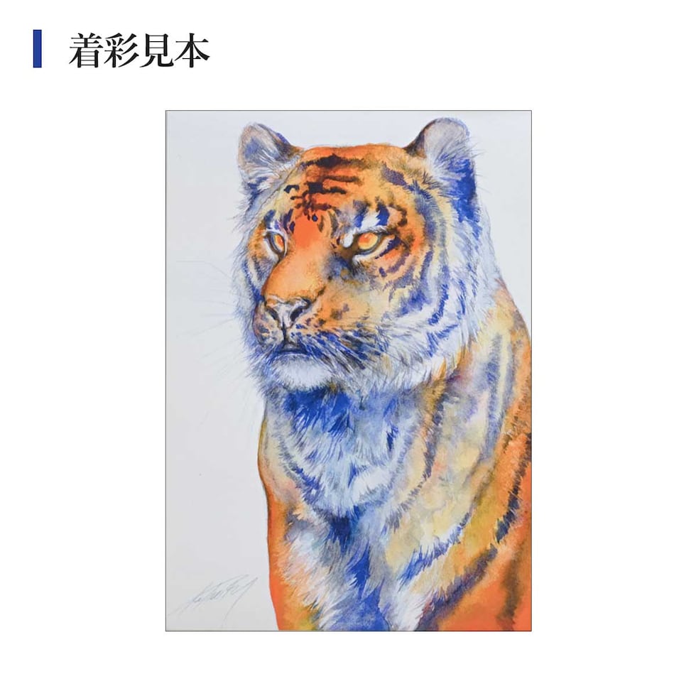 MINORI先生セレクト シュミンケ ホラダム 透明水彩絵具5色 ドットメタルパレット＆インターロンセット