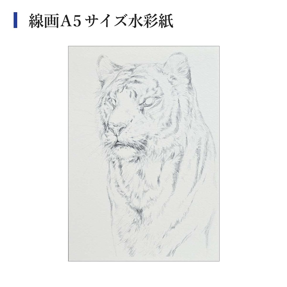 MINORI先生セレクト シュミンケ ホラダム 透明水彩絵具5色 ドットメタルパレット＆インターロンセット