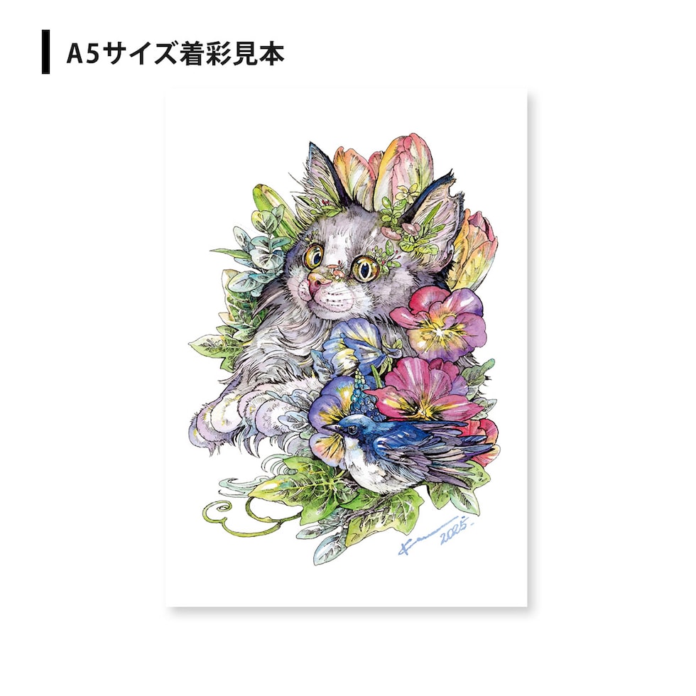 マツダケンセレクト シュミンケホラダム透明水彩絵具 ドットパレット8色+線画セット ネコポス可