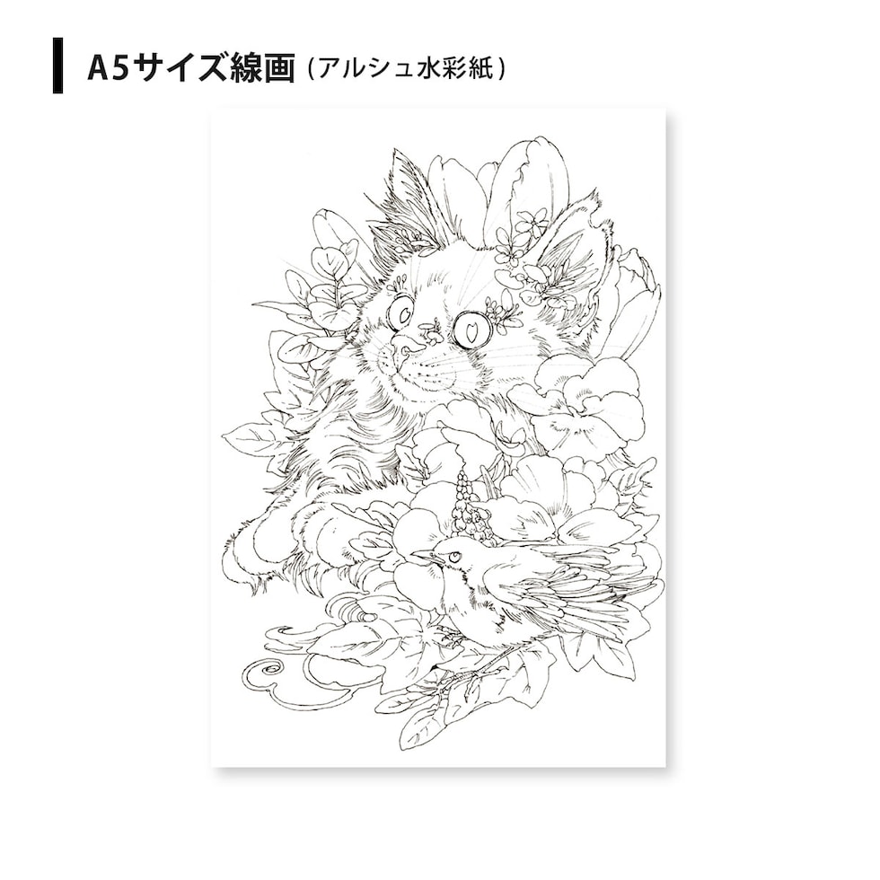 マツダケンセレクト シュミンケホラダム透明水彩絵具 ドットパレット8色+線画セット ネコポス可